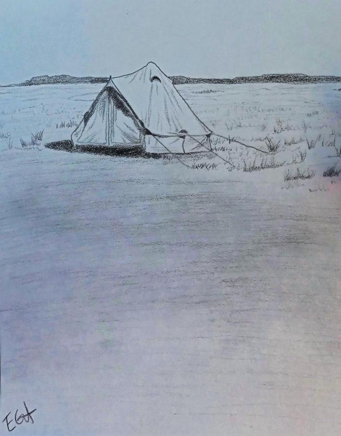 Starlight Tent 2 Holbrook Exteriör bild