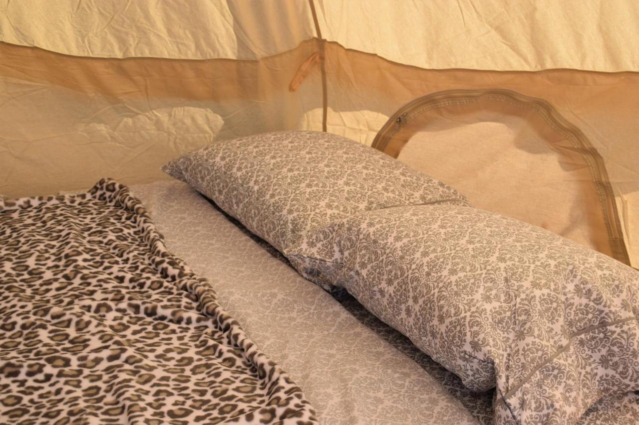 Starlight Tent 2 Holbrook Exteriör bild